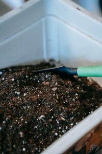 Beginner Tips for Composting at Home: A Simple Guide